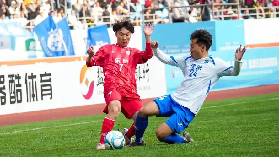 雨燕免费观看nba直播